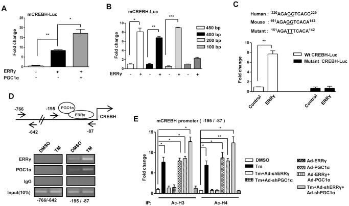 https://cdn.ncbi.nlm.nih.gov/pmc/blobs/3cfc/3899246/1b222b89336a/pone.0086342.g003.jpg