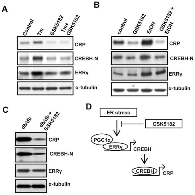 https://cdn.ncbi.nlm.nih.gov/pmc/blobs/3cfc/3899246/adce3a16ff76/pone.0086342.g005.jpg