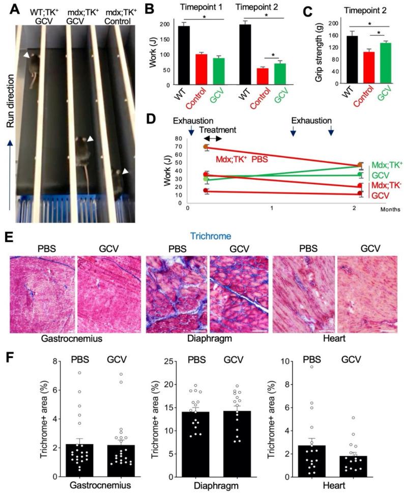 https://cdn.ncbi.nlm.nih.gov/pmc/blobs/3cfc/8534118/2a3caeb49a5b/biomolecules-11-01519-g003.jpg