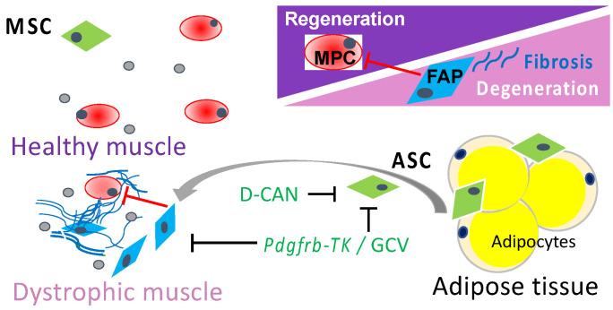 https://cdn.ncbi.nlm.nih.gov/pmc/blobs/3cfc/8534118/725ed7b71fb5/biomolecules-11-01519-g001.jpg