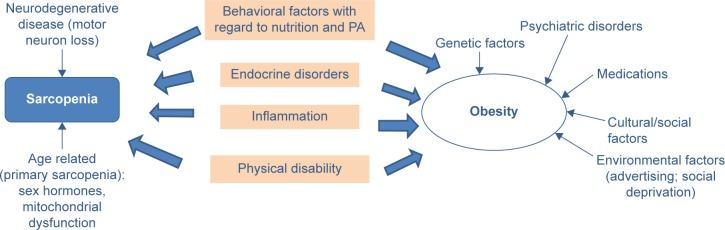 https://cdn.ncbi.nlm.nih.gov/pmc/blobs/3cfd/4531044/c920dc7f4db3/cia-10-1267Fig1.jpg