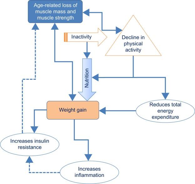 https://cdn.ncbi.nlm.nih.gov/pmc/blobs/3cfd/4531044/db0f92043a35/cia-10-1267Fig2.jpg