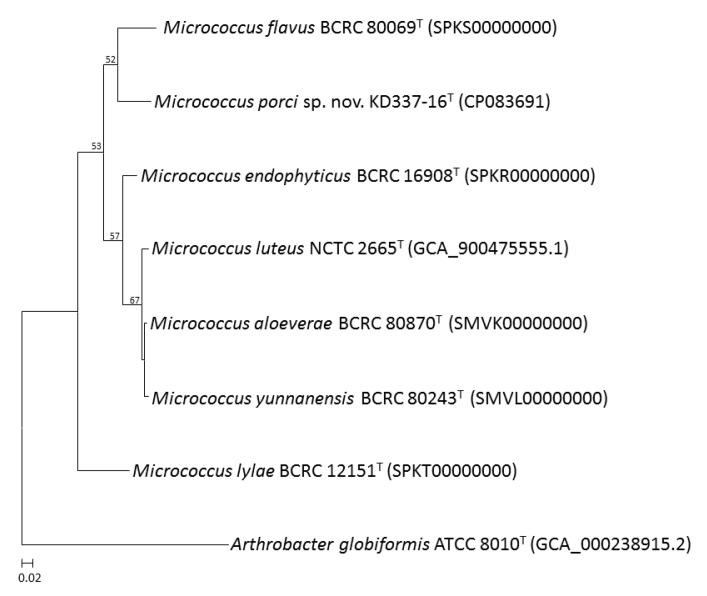 https://cdn.ncbi.nlm.nih.gov/pmc/blobs/3cfe/9697426/a33be026d272/life-12-01749-g003.jpg