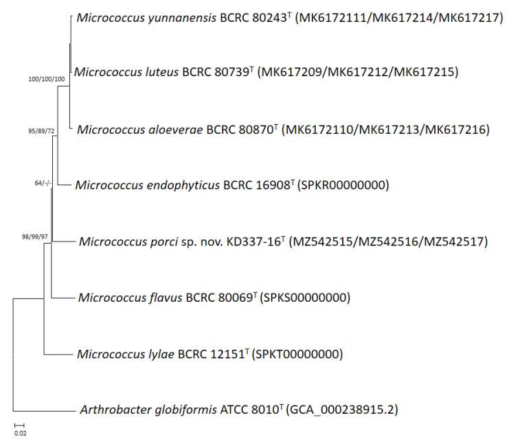 https://cdn.ncbi.nlm.nih.gov/pmc/blobs/3cfe/9697426/c23270a0c0c0/life-12-01749-g002.jpg