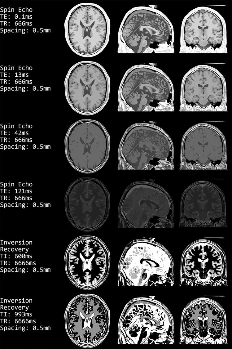 https://cdn.ncbi.nlm.nih.gov/pmc/blobs/3cff/10600316/517e3f877507/10916_2023_2004_Fig5_HTML.jpg