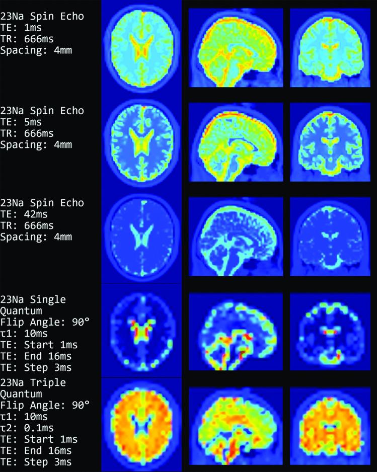 https://cdn.ncbi.nlm.nih.gov/pmc/blobs/3cff/10600316/71ce8a1c29d9/10916_2023_2004_Fig7_HTML.jpg