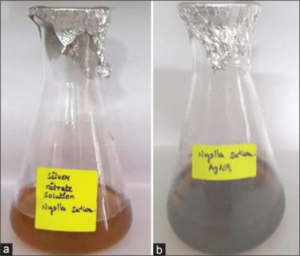 https://cdn.ncbi.nlm.nih.gov/pmc/blobs/3cff/12237179/d74e0457f6c0/JISP-29-57-g001.jpg
