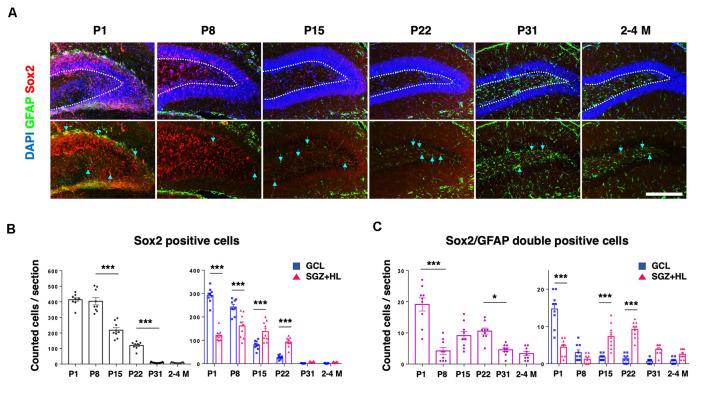 https://cdn.ncbi.nlm.nih.gov/pmc/blobs/3cff/8361493/68c1a8702bea/fnagi-13-709620-g0004.jpg