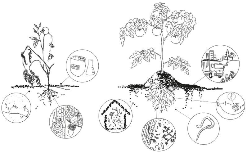 https://cdn.ncbi.nlm.nih.gov/pmc/blobs/3cff/8538326/c2c7b4366260/microorganisms-09-02130-g001.jpg