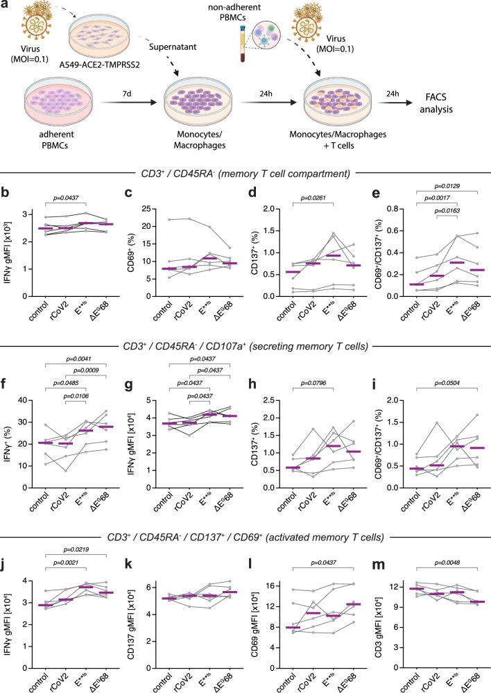 https://cdn.ncbi.nlm.nih.gov/pmc/blobs/3d00/11522273/8668267cdaf8/41541_2024_992_Fig5_HTML.jpg