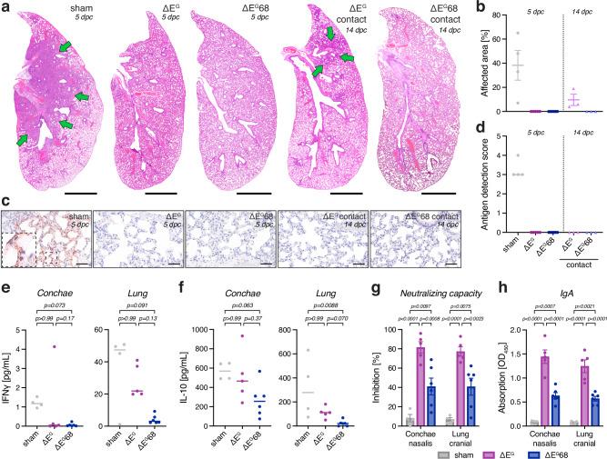 https://cdn.ncbi.nlm.nih.gov/pmc/blobs/3d00/11522273/a3ddd478817d/41541_2024_992_Fig4_HTML.jpg