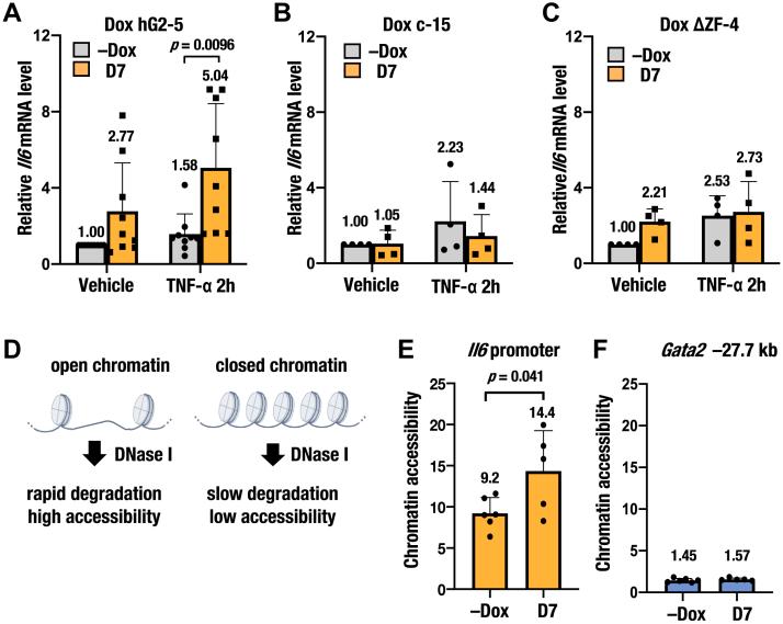 https://cdn.ncbi.nlm.nih.gov/pmc/blobs/3d01/12281529/857813452761/gr2.jpg