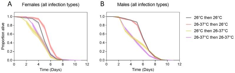 https://cdn.ncbi.nlm.nih.gov/pmc/blobs/3d03/6473245/ba8c87cb565f/tropicalmed-04-00013-g002.jpg
