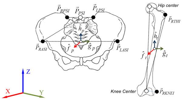 https://cdn.ncbi.nlm.nih.gov/pmc/blobs/3d05/3941698/1a284fcd0ca1/1475-925X-13-20-2.jpg