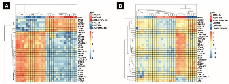 https://cdn.ncbi.nlm.nih.gov/pmc/blobs/3d05/7037886/3762c5a25253/ijms-21-01086-g004.jpg