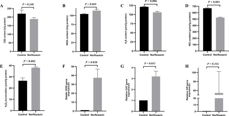 https://cdn.ncbi.nlm.nih.gov/pmc/blobs/3d05/8500093/841b4b8cd4b1/peerj-09-12255-g001.jpg