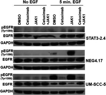 https://cdn.ncbi.nlm.nih.gov/pmc/blobs/3d06/4603644/19a5dbdc1719/12885_2015_1679_Fig3_HTML.jpg