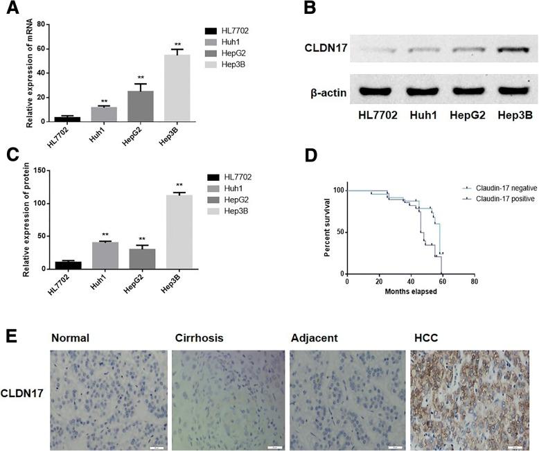 https://cdn.ncbi.nlm.nih.gov/pmc/blobs/3d07/6138900/697acfa985df/13000_2018_749_Fig1_HTML.jpg