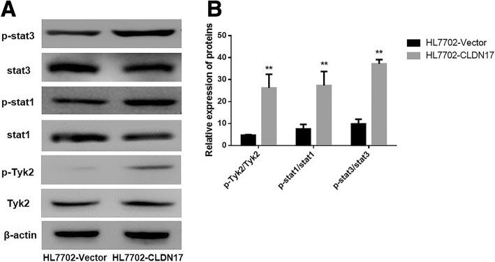 https://cdn.ncbi.nlm.nih.gov/pmc/blobs/3d07/6138900/de81db70e4f0/13000_2018_749_Fig4_HTML.jpg