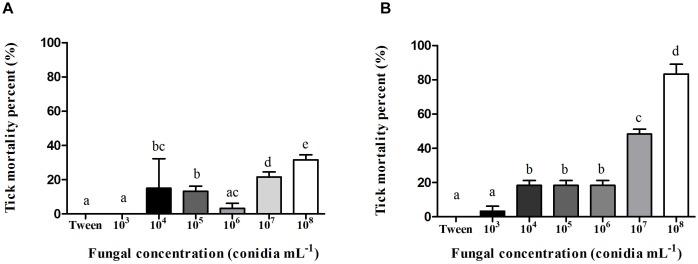 https://cdn.ncbi.nlm.nih.gov/pmc/blobs/3d07/6548823/82a1d7a9c861/fphys-10-00654-g001.jpg