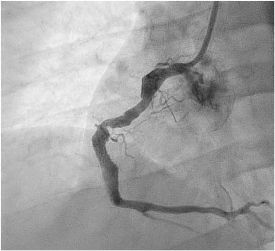 https://cdn.ncbi.nlm.nih.gov/pmc/blobs/3d07/7640541/591e83f0a8d3/sha-32-02-336f4.jpg