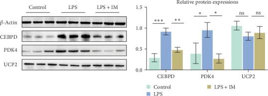 https://cdn.ncbi.nlm.nih.gov/pmc/blobs/3d09/12170088/30104419dc99/JIR2025-4526375.006.jpg