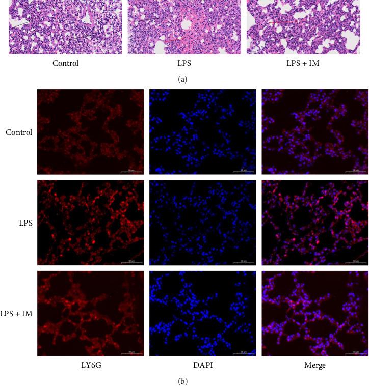 https://cdn.ncbi.nlm.nih.gov/pmc/blobs/3d09/12170088/bbbfbc477e66/JIR2025-4526375.002.jpg