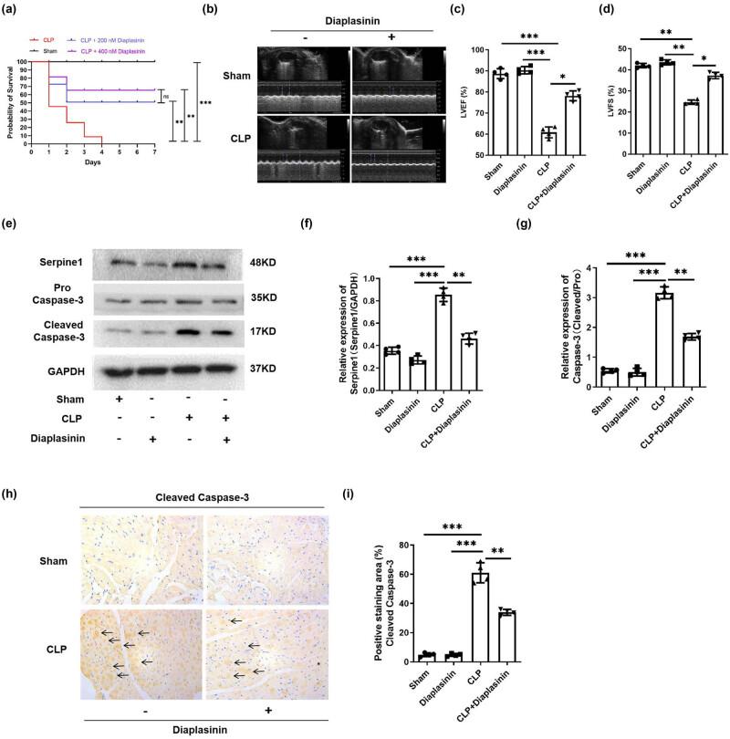 https://cdn.ncbi.nlm.nih.gov/pmc/blobs/3d0a/11416050/4d40d7d306bf/j_med-2024-1018-fig003.jpg