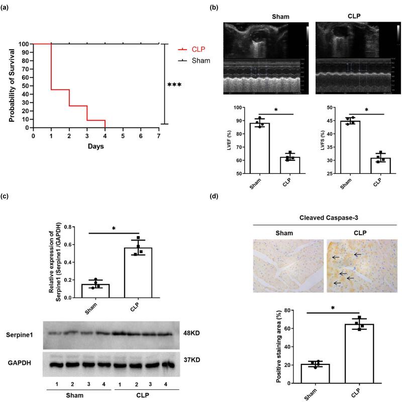 https://cdn.ncbi.nlm.nih.gov/pmc/blobs/3d0a/11416050/cfe6f7b09e4e/j_med-2024-1018-fig002.jpg