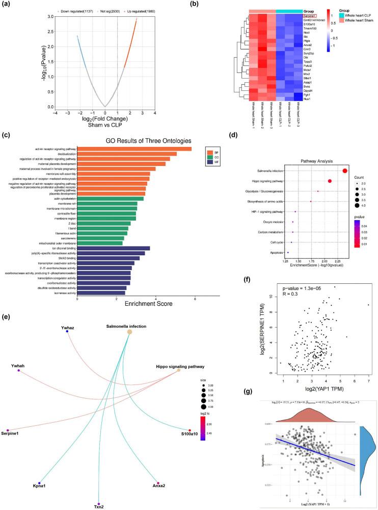 https://cdn.ncbi.nlm.nih.gov/pmc/blobs/3d0a/11416050/f48897918369/j_med-2024-1018-fig001.jpg