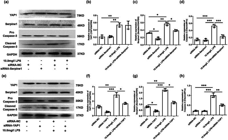 https://cdn.ncbi.nlm.nih.gov/pmc/blobs/3d0a/11416050/ffb29c1944c9/j_med-2024-1018-fig005.jpg
