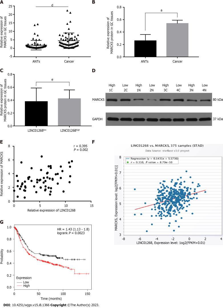 https://cdn.ncbi.nlm.nih.gov/pmc/blobs/3d0b/10473932/0227353ae4ef/WJGO-15-1366-g004.jpg