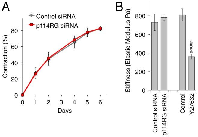 https://cdn.ncbi.nlm.nih.gov/pmc/blobs/3d0f/3501466/75b053138ff3/pone.0050188.g007.jpg