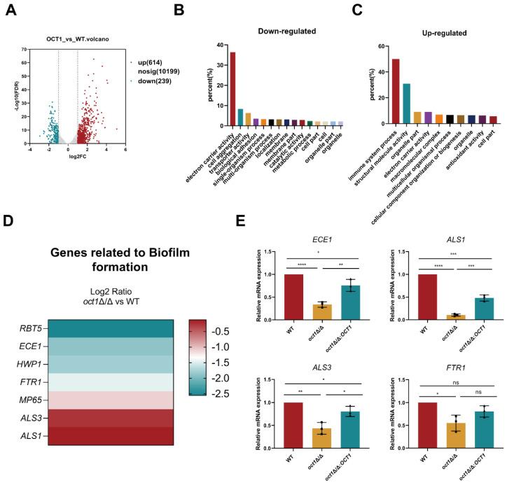 https://cdn.ncbi.nlm.nih.gov/pmc/blobs/3d10/11204688/8c56fe12fecc/jof-10-00391-g003.jpg
