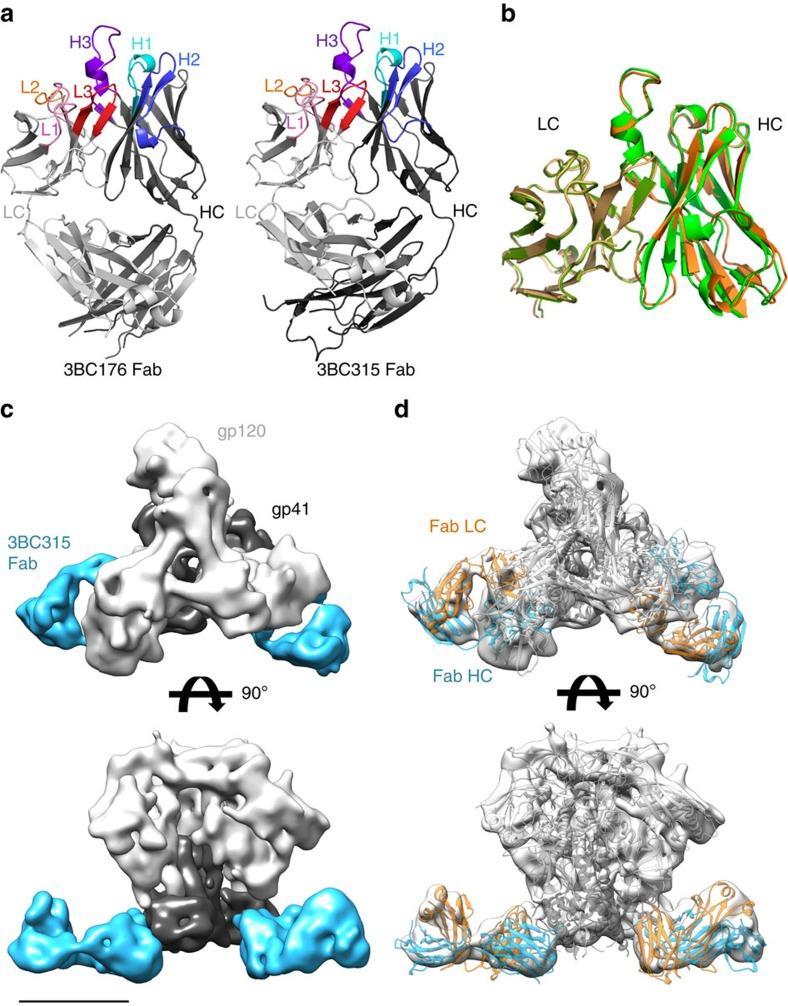 https://cdn.ncbi.nlm.nih.gov/pmc/blobs/3d10/4598360/2a9ebfa1bae7/ncomms9167-f1.jpg