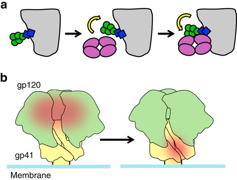 https://cdn.ncbi.nlm.nih.gov/pmc/blobs/3d10/4598360/5b5ad426310c/ncomms9167-f6.jpg