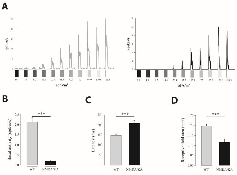 https://cdn.ncbi.nlm.nih.gov/pmc/blobs/3d10/8230349/26929eb4a508/ijms-22-06245-g005.jpg
