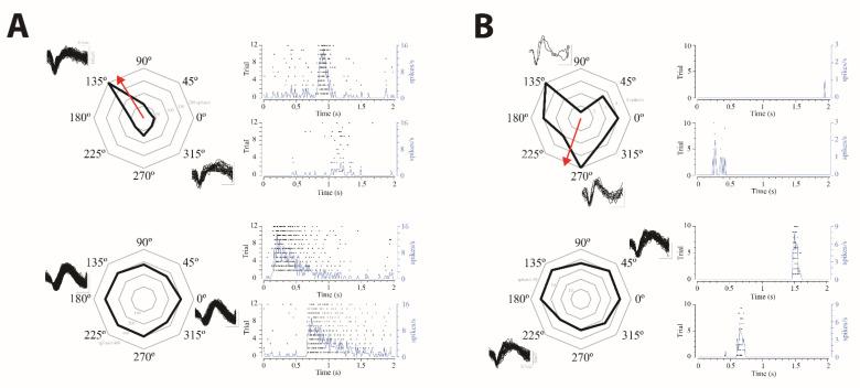 https://cdn.ncbi.nlm.nih.gov/pmc/blobs/3d10/8230349/d0493bae5bdd/ijms-22-06245-g006.jpg