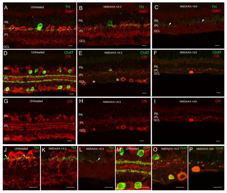 https://cdn.ncbi.nlm.nih.gov/pmc/blobs/3d10/8230349/dbd4d362c9d8/ijms-22-06245-g003.jpg