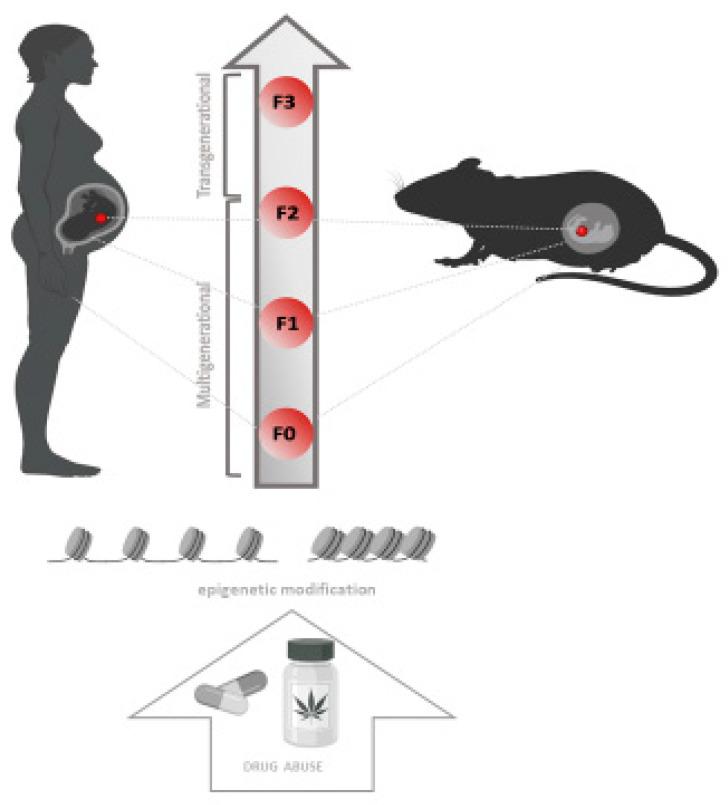 https://cdn.ncbi.nlm.nih.gov/pmc/blobs/3d10/9219842/4daa8c97cb57/biomedicines-10-01398-g002.jpg