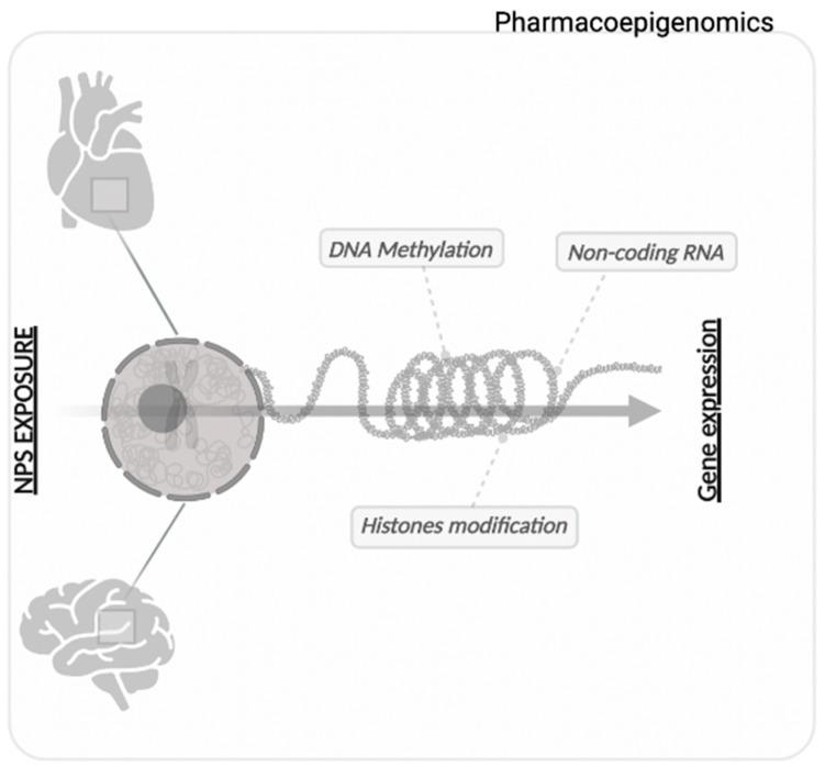 https://cdn.ncbi.nlm.nih.gov/pmc/blobs/3d10/9219842/b09dfa32deb1/biomedicines-10-01398-g001.jpg