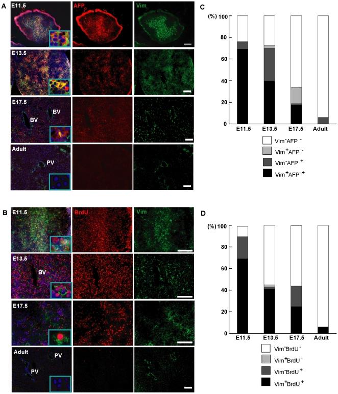 https://cdn.ncbi.nlm.nih.gov/pmc/blobs/3d12/3037942/1fc65f27eb49/pone.0017092.g006.jpg