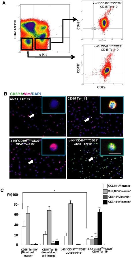 https://cdn.ncbi.nlm.nih.gov/pmc/blobs/3d12/3037942/438b12419823/pone.0017092.g003.jpg