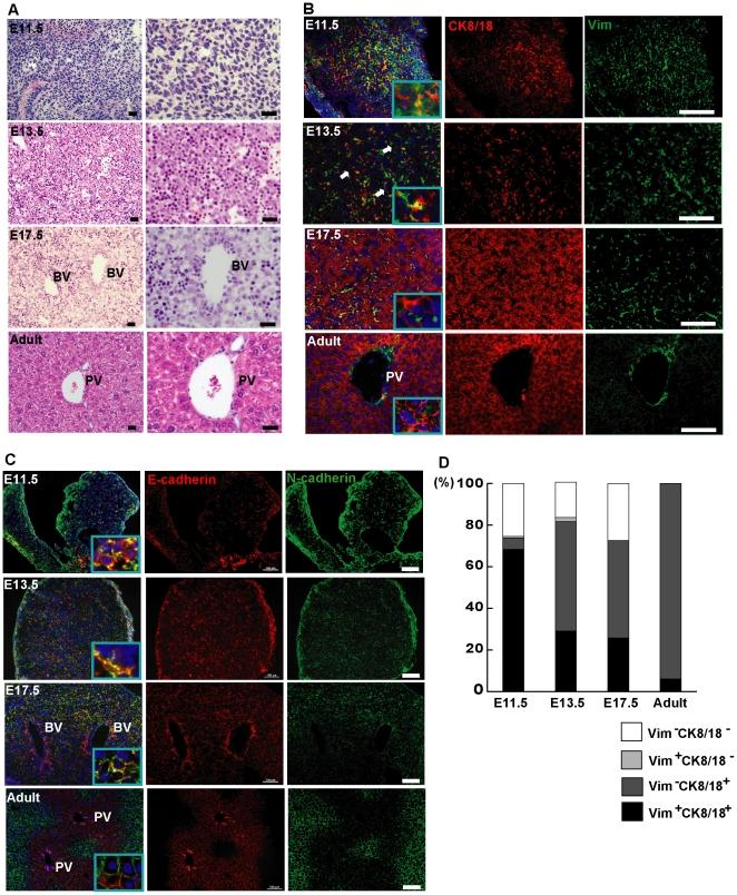 https://cdn.ncbi.nlm.nih.gov/pmc/blobs/3d12/3037942/60b36b7e2618/pone.0017092.g001.jpg