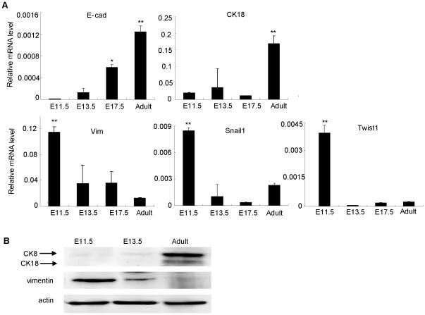 https://cdn.ncbi.nlm.nih.gov/pmc/blobs/3d12/3037942/9dfd40720c63/pone.0017092.g002.jpg
