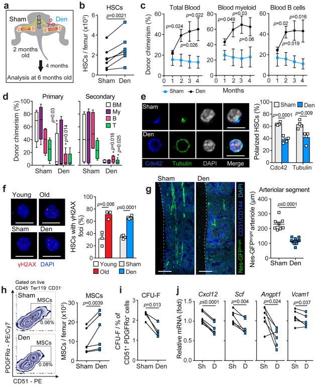 https://cdn.ncbi.nlm.nih.gov/pmc/blobs/3d13/6095812/0cab51fc6c60/nihms950683f4.jpg