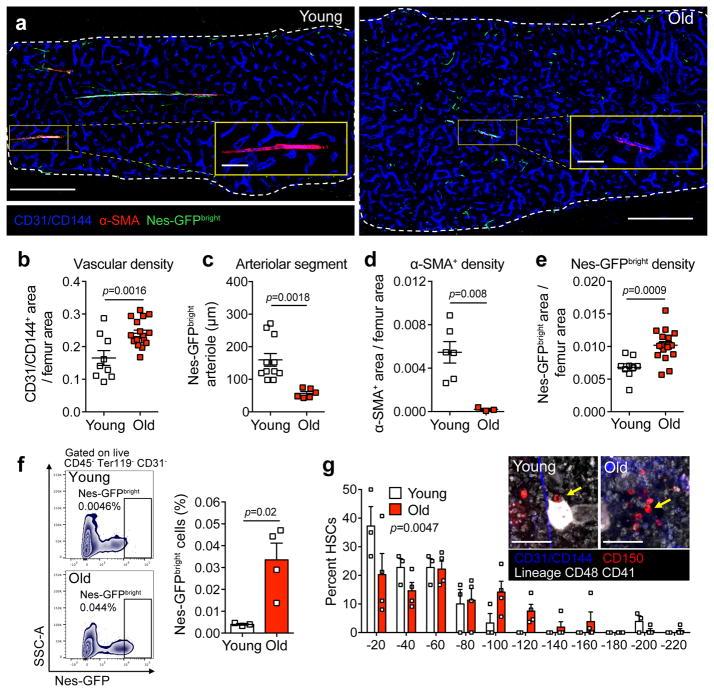 https://cdn.ncbi.nlm.nih.gov/pmc/blobs/3d13/6095812/0d891a42a0ee/nihms950683f1.jpg