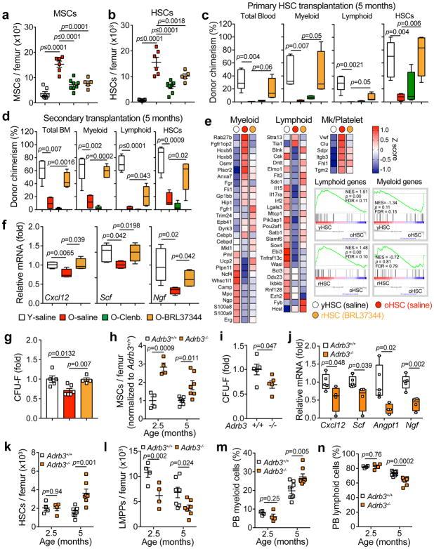 https://cdn.ncbi.nlm.nih.gov/pmc/blobs/3d13/6095812/1c8881e7ba8d/nihms950683f5.jpg