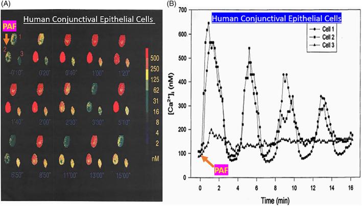 https://cdn.ncbi.nlm.nih.gov/pmc/blobs/3d15/10084252/616e6ff98bbb/BIOF-48-1226-g016.jpg