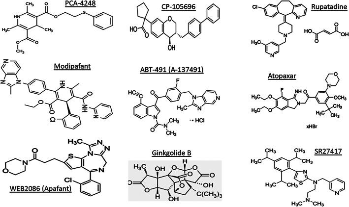 https://cdn.ncbi.nlm.nih.gov/pmc/blobs/3d15/10084252/709a930716c9/BIOF-48-1226-g006.jpg
